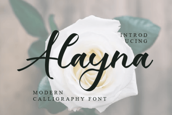 Alayna Script Font: A Versatile Choice for Designers