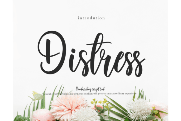 Distress: A Script Handwritten Font for Modern Web Design