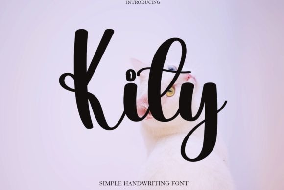 Kity: A Script Handwritten Font That Brings Warmth to Every Design