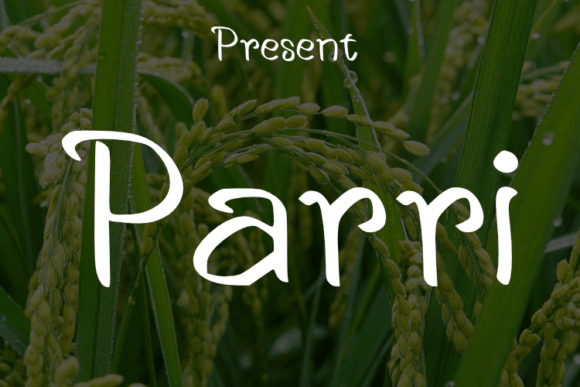Parri: A Script Handwritten Font for Editorial Elegance