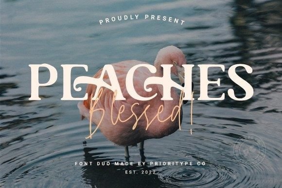 Peaches Blessed Duo: A Serif Font for Handmade Crafters and Designers