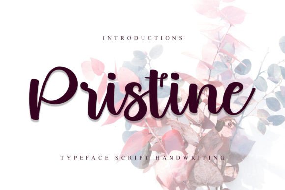 Pristine: A Script Handwritten Font That Elevates Your Brand