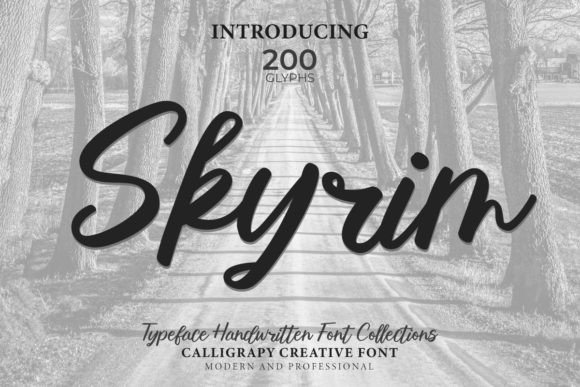Skrym for Business Branding and Design Consistency